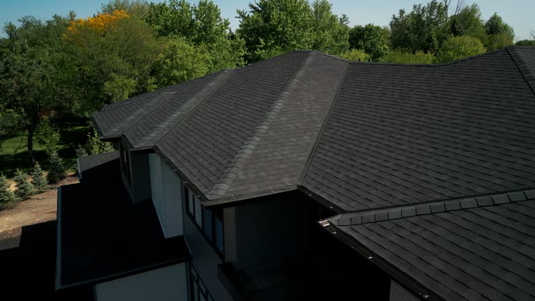 Best Metal Roofing Installation  in Okeechobee, FL